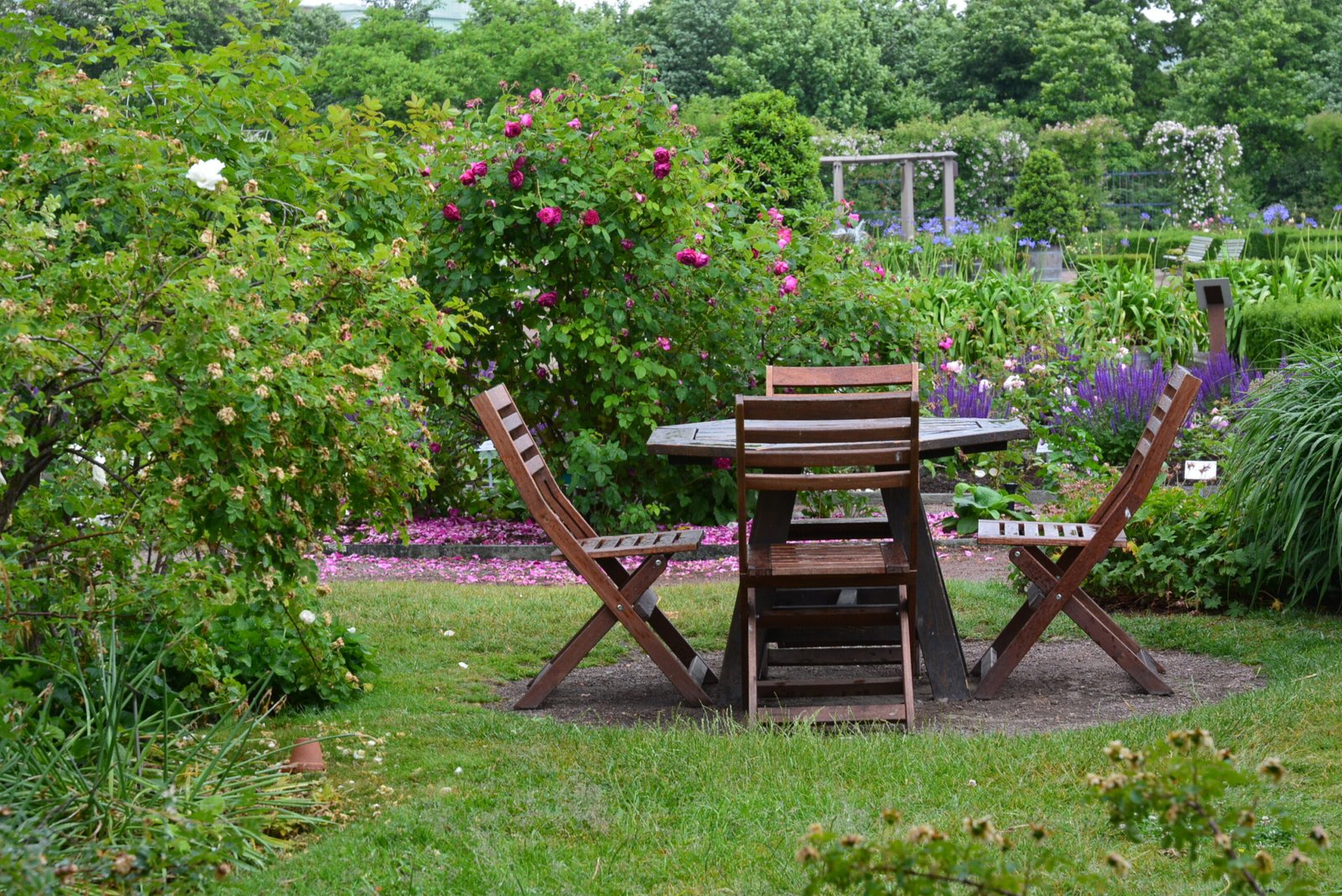 green-garden-GNLWWX7
